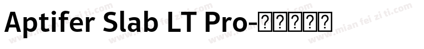 Aptifer Slab LT Pro字体转换